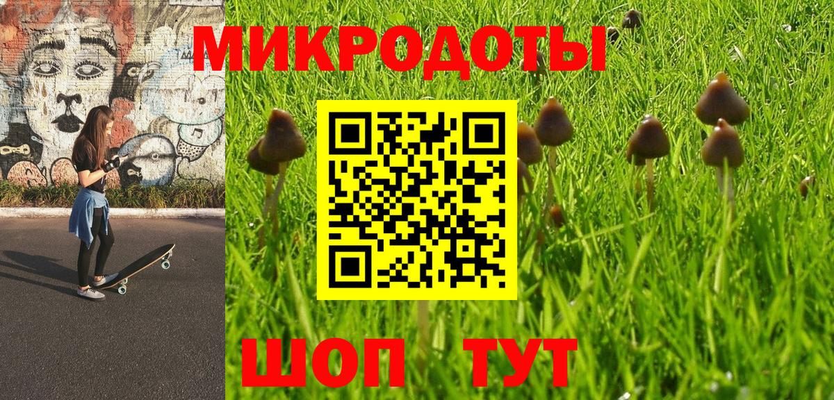 Воркута  Галлюциногенные грибы Psilocybe  Вход с VPN  Псилоцибиновые грибы ЛСД 