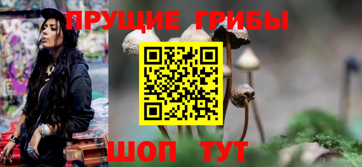 Галлюциногенные грибы Cubensis Воркута